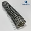 Inside Spiral Brushes
