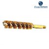 chamber brush
