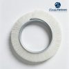 Outside Disk Brush